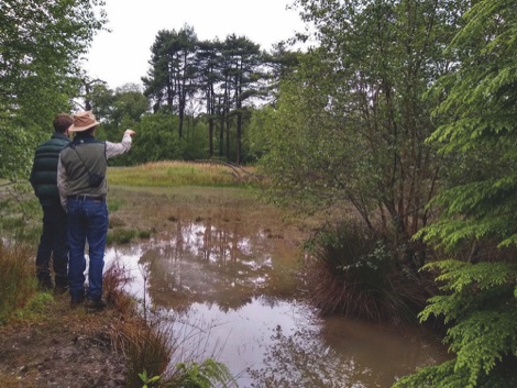 Dominic Buscall and Professor Rich Brazier from Exeter University overlooking a wet area in the beaver enclosure